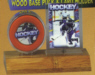 Hockey Puck & Card Display Case